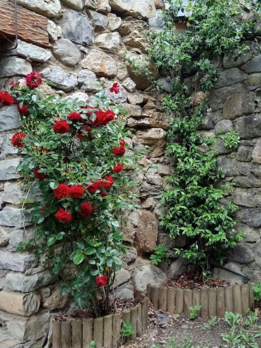 La Borda De Sesue Villa Dış mekan fotoğraf
