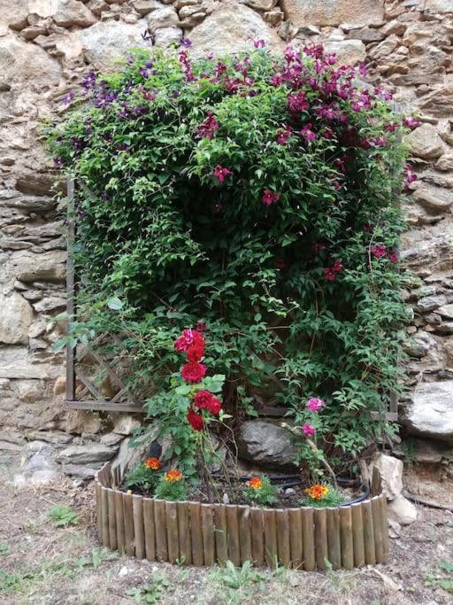La Borda De Sesue Villa Dış mekan fotoğraf